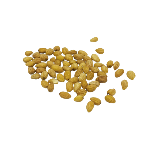 Mahlab Whole - 16 x 24 gr Jars/box