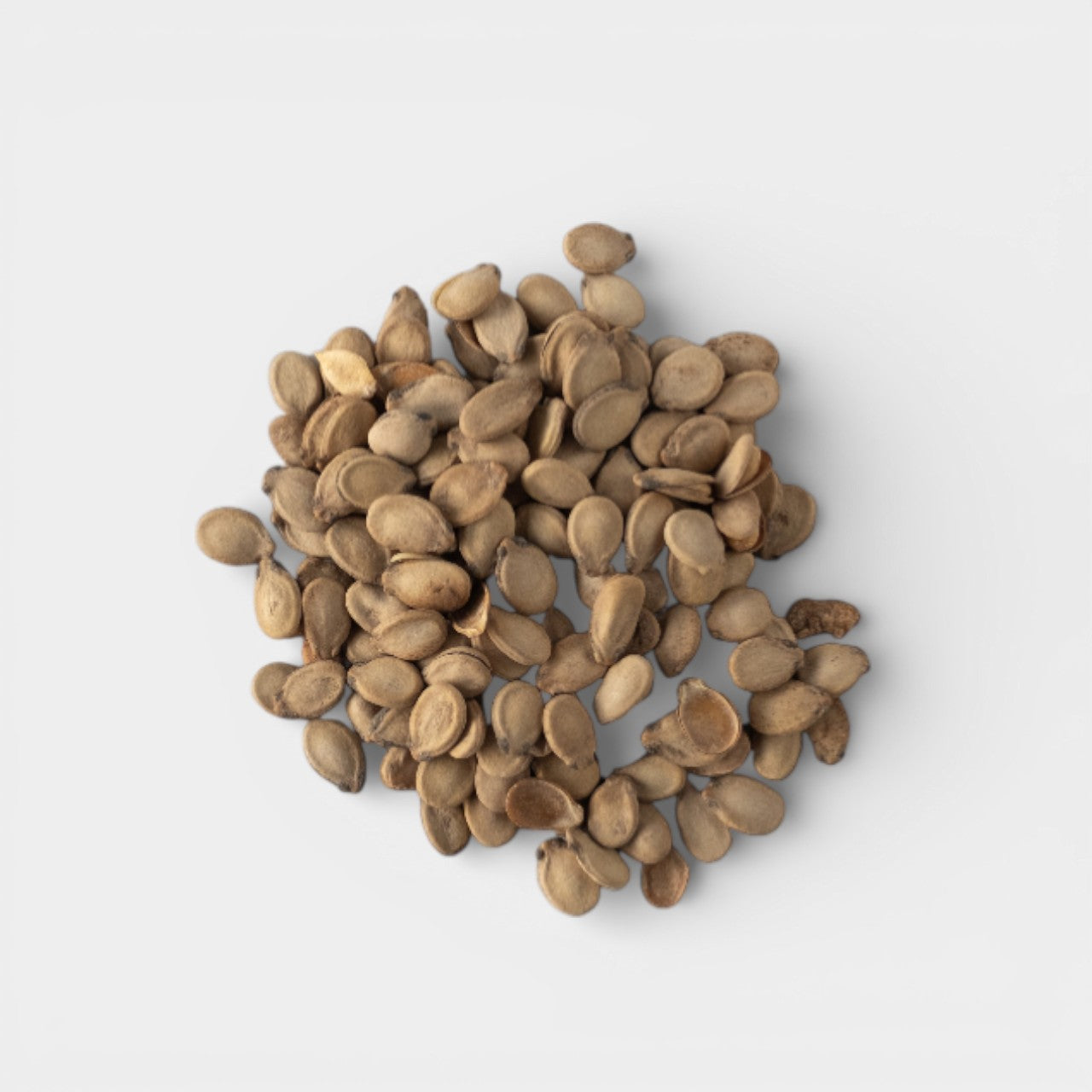 بذور البطيخ الفلسطيني-10 رطل/كيس