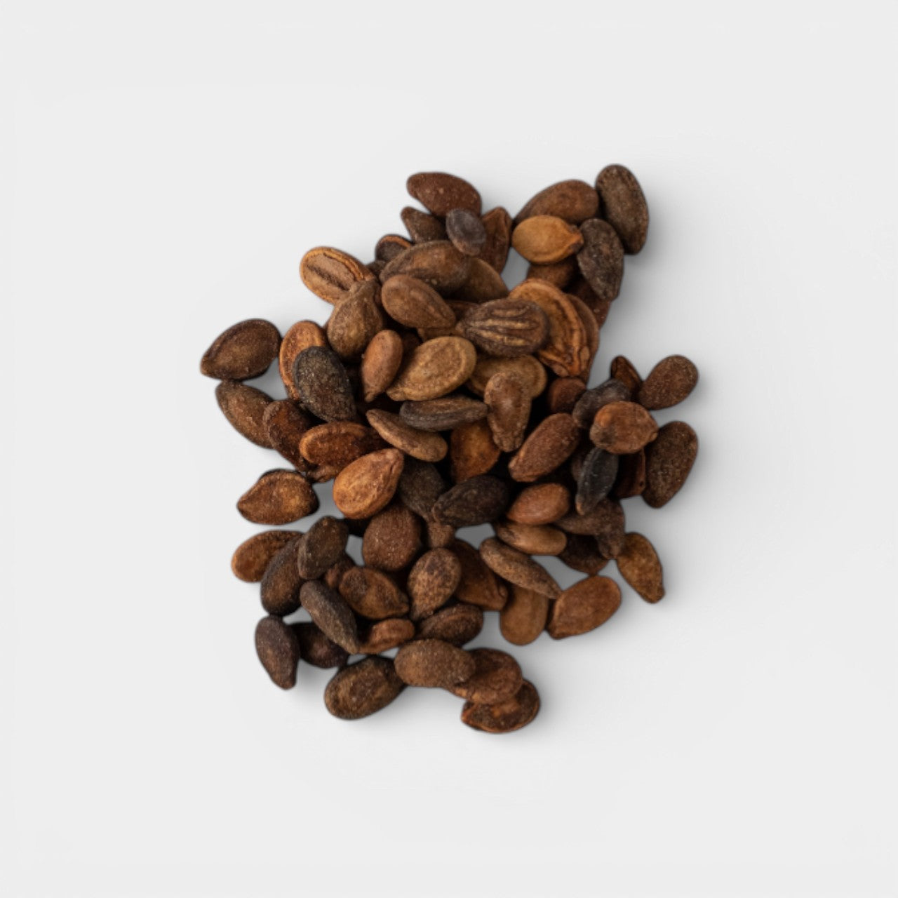 بذور بطيخ بلدي - 10 رطل/كيس