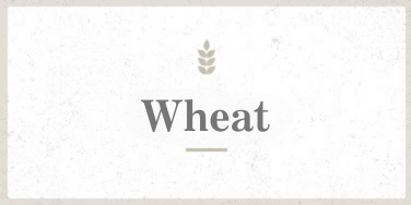 Wheat