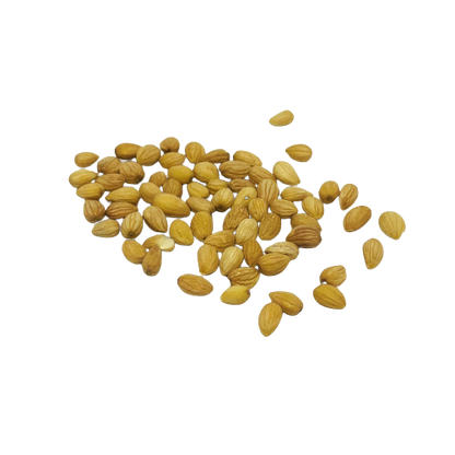 Mahlab Whole - 5 Lb/Jug