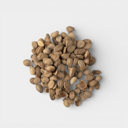 بذور البطيخ الفلسطيني-10 رطل/كيس